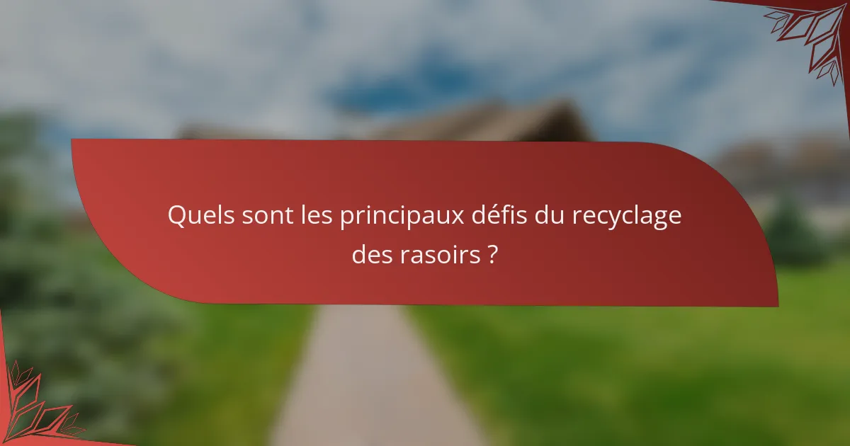 Quels sont les principaux défis du recyclage des rasoirs ?